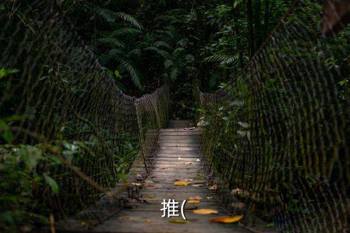推(
