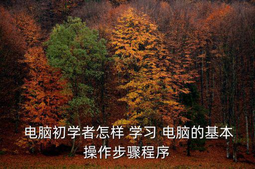 學(xué)習(xí)電腦,學(xué)電腦要如何做到?