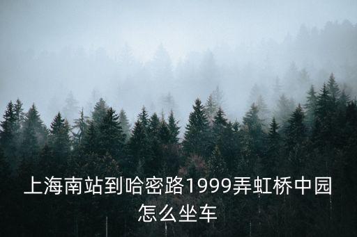 上海南站到哈密路1999弄虹橋中園怎么坐車