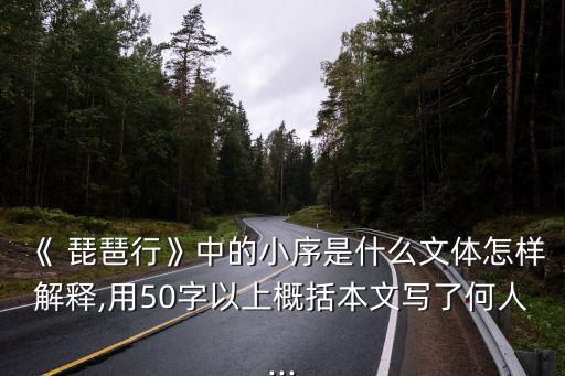 琵琶行小序的作用,琵琶行序和十年代表作