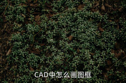 cad怎么畫圖框，cad里面怎么畫圖框啊
