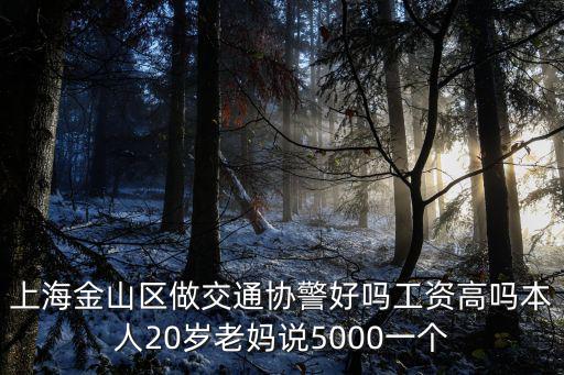 上海金山區做交通協警好嗎工資高嗎本人20歲老媽說5000一個