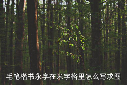 毛筆楷書永字在米字格里怎么寫求圖