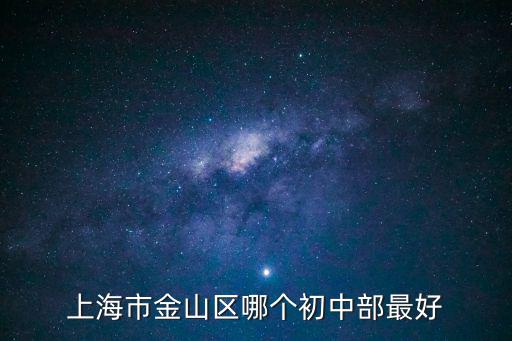 上海市金山區哪個初中部最好