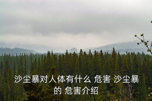 沙塵暴的危害,沙塵暴危害不大可分四種