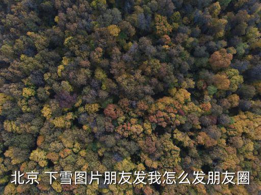 下雪的圖片,北京下雪攻略:大雪意味著天氣更冷
