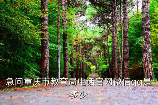 重慶市沙坪壩區教育官網，重慶市教育教育委員會地址