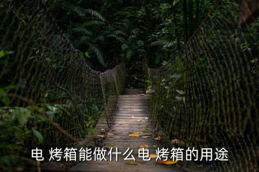 烤箱可以做什么,烤箱除濕除濕你可以做什么?