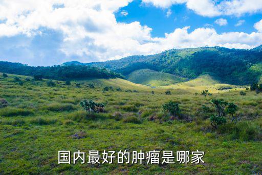 國(guó)內(nèi)最好的腫瘤是哪家