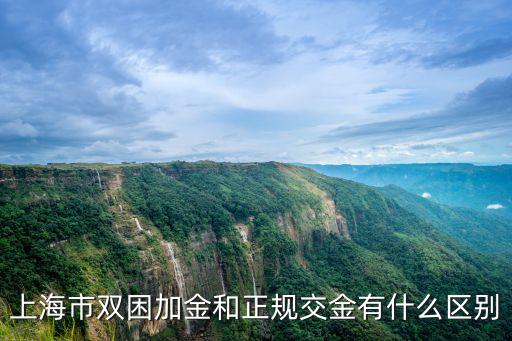 上海市雙困加金和正規(guī)交金有什么區(qū)別