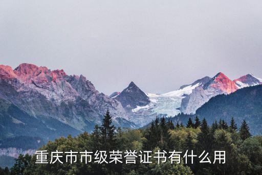 重慶市政有什么獎項，重慶有什么稱號