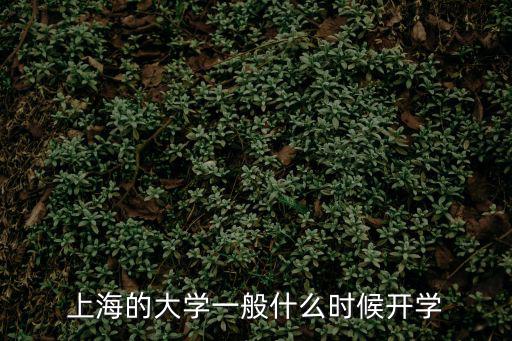 上海的大學(xué)一般什么時候開學(xué)
