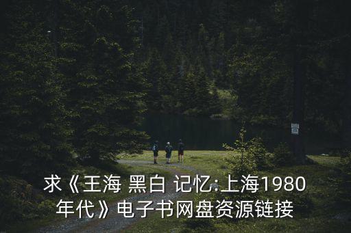 求《王海 黑白 記憶:上海1980年代》電子書(shū)網(wǎng)盤(pán)資源鏈接