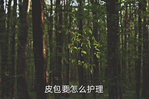皮包怎么保養，皮包要怎么護理