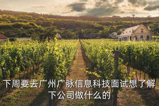 下周要去廣州廣脈信息科技面試想了解下公司做什么的