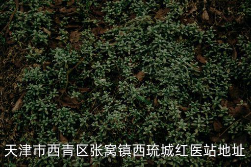 天津市西青區(qū)張窩鎮(zhèn)西琉城紅醫(yī)站地址