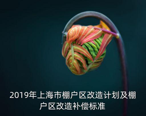 2019年上海市棚戶區(qū)改造計(jì)劃及棚戶區(qū)改造補(bǔ)償標(biāo)準(zhǔn)