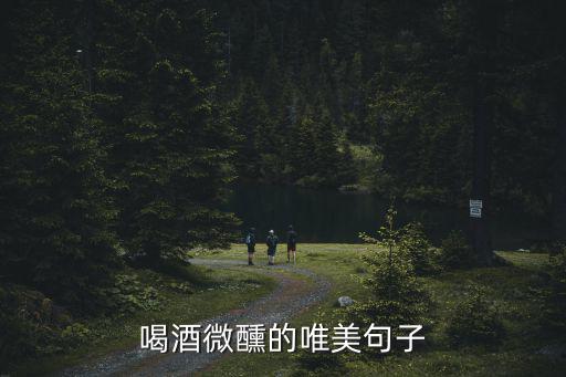 喝酒微醺的唯美句子
