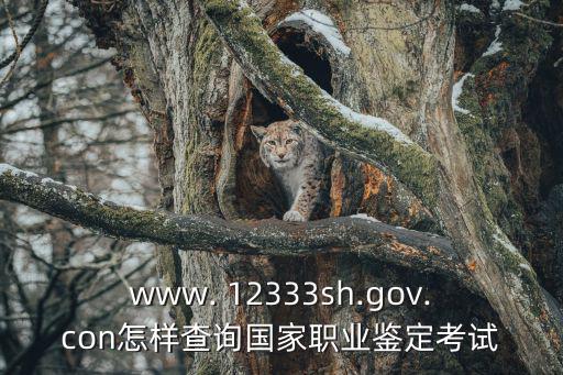 www. 12333sh.gov.con怎樣查詢國家職業鑒定考試