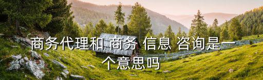 商務信息咨詢,商務/政府機構定義信息咨詢為更容易獲商業利益