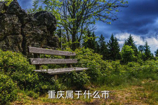 重慶市地市級是什么，重慶是個什么市