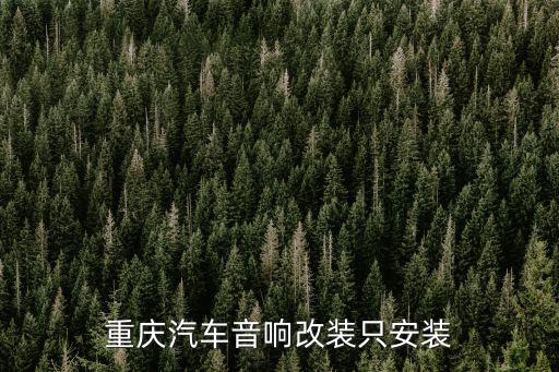 重慶汽車音響改裝只安裝
