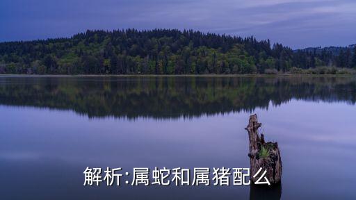 解析:屬蛇和屬豬配么