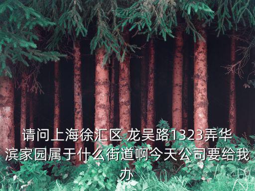 請問上海徐匯區 龍吳路1323弄華濱家園屬于什么街道啊今天公司要給我辦