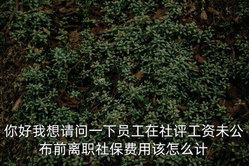 你好我想請問一下員工在社評工資未公布前離職社保費用該怎么計