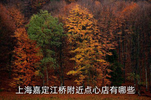 上海嘉定江橋附近點心店有哪些