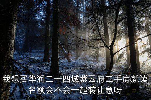 我想買華潤二十四城紫云府二手房就讀名額會不會一起轉(zhuǎn)讓急呀