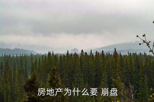 房地產崩盤,房地產bubble的概念