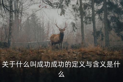 對成功的理解，什么叫成功談談對成功的理解怎么說