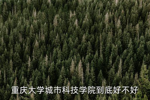 重慶大學城市科技學院到底好不好