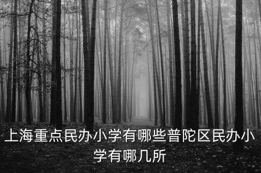 上海市普陀區有沒有幾家民辦小學，上海重點民辦小學有哪些普陀區民辦小學有哪幾所