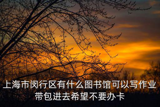 上海市閔行區有什么圖書館可以寫作業帶包進去希望不要辦卡