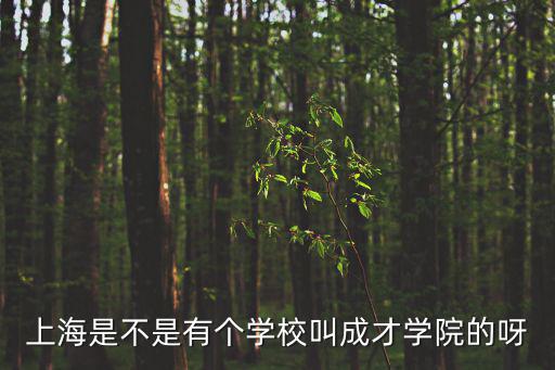 上海是不是有個學校叫成才學院的呀