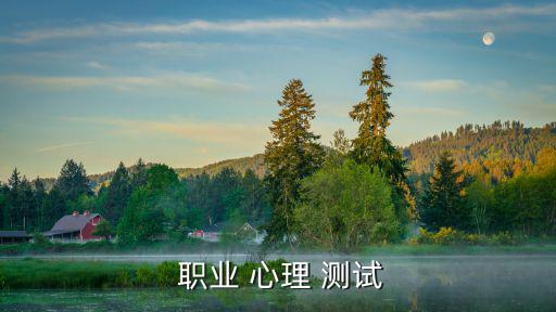  職業(yè) 心理 測試