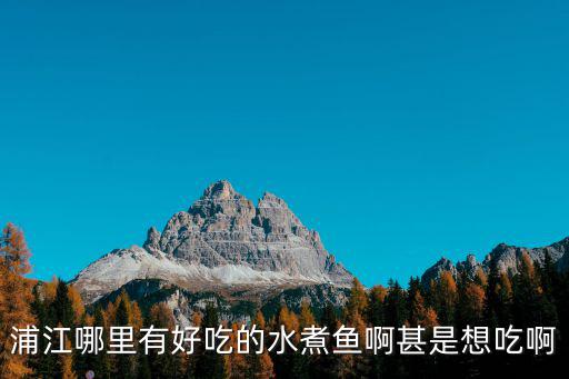 上海市場上好吃的水煮魚，上海哪里的水煮魚最好吃