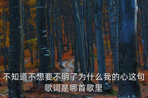 不知道不想要不明了為什么我的心這句歌詞是哪首歌里