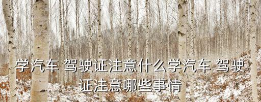 學(xué)汽車 駕駛證注意什么學(xué)汽車 駕駛證注意哪些事情