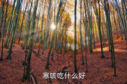 寒咳吃什么藥,咳嗽分風(fēng)寒咳和熱風(fēng)咳兩種可吃食物治療