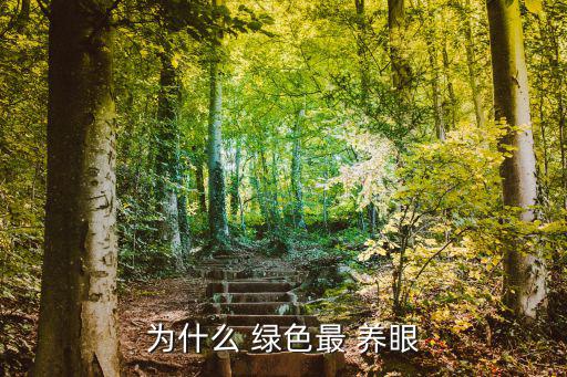 綠色養眼壁紙,換個心情!把電腦屏幕換成怡眼綠色即時更新