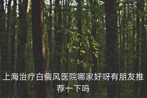 上海治療白癜風醫院哪家好呀有朋友推薦一下嗎