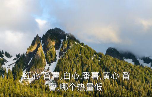 紅心番薯,紅心番薯熱量99千卡最低熱度