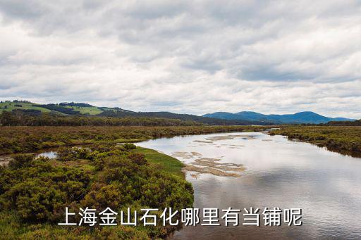 上海金山石化哪里有當鋪呢