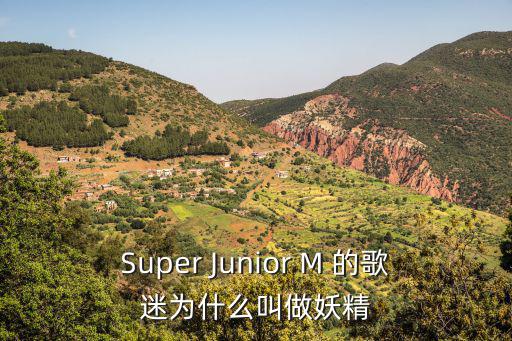 Super Junior M 的歌迷為什么叫做妖精