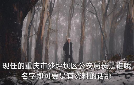 現任的重慶市沙坪壩區公安局長是誰哦名字即可要是有資料的話那