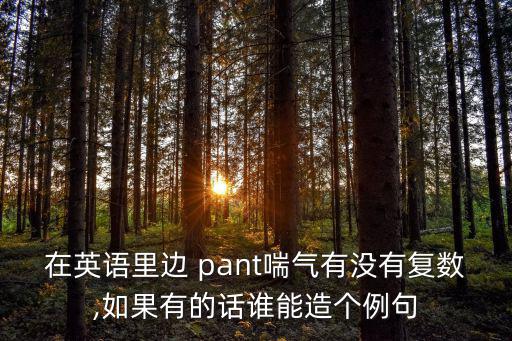 在英語(yǔ)里邊 pant喘氣有沒有復(fù)數(shù),如果有的話誰(shuí)能造個(gè)例句