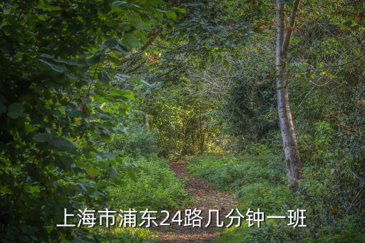 上海市浦東24路幾分鐘一班